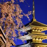 【初心者向け】京都府・建設業許可の取得方法を動画で行政書士が手引より簡単解説!