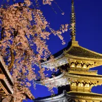 京都府 建設業許可