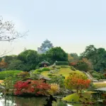 【初心者向け】岡山県・建設業許可の取得方法を動画で行政書士が手引より簡単解説！